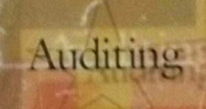 pengendalian internal