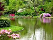 meraih keberuntungan