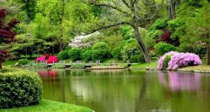 meraih keberuntungan